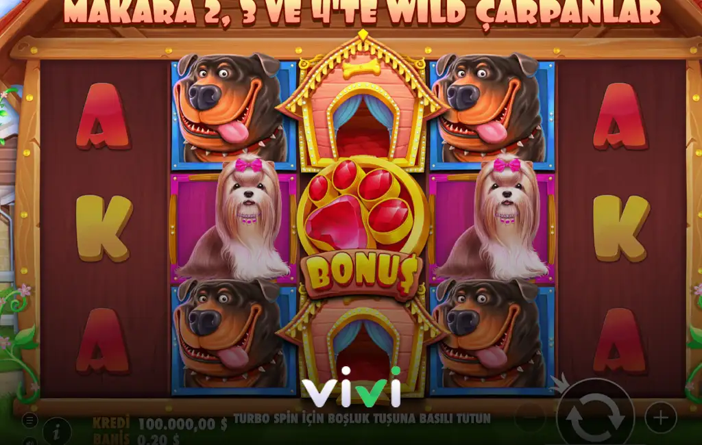 Vivi casino the dog house