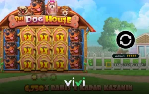 Vivi casino the dog house